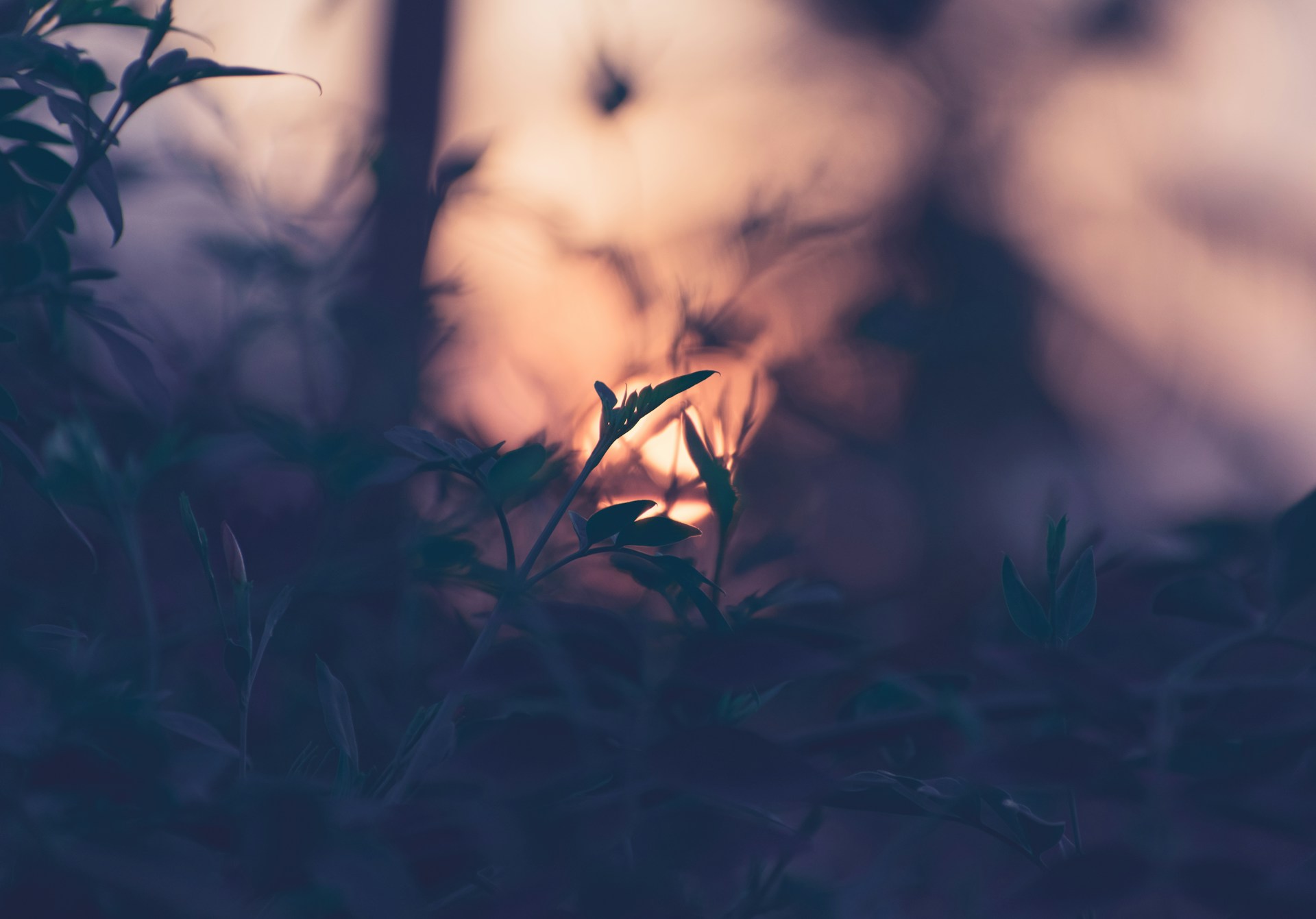 Lune spirituelle - guidance